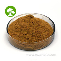 Pure Natural Ajuga Turkestanica Turkesterone Extract Powder